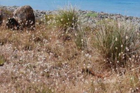 Schouten House - Accommodation Cooktown 0
