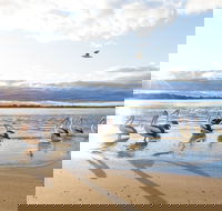 El Paso Motor Inn - Accommodation Cooktown