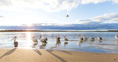 El Paso Motor Inn - Accommodation Cooktown 0