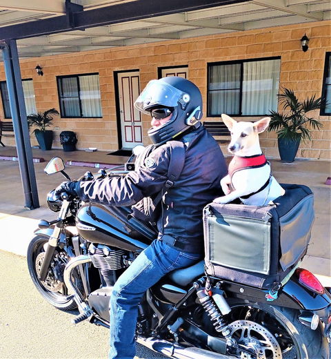 Ascot Lodge Motor Inn Kingaroy - Accommodation Cooktown 2