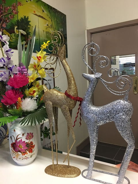Statesman Motor InnÂ  - Accommodation Cooktown 5