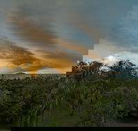 Ocean International - Accommodation Cooktown