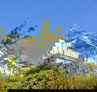 Tangalooma Island Resort - Accommodation Cooktown