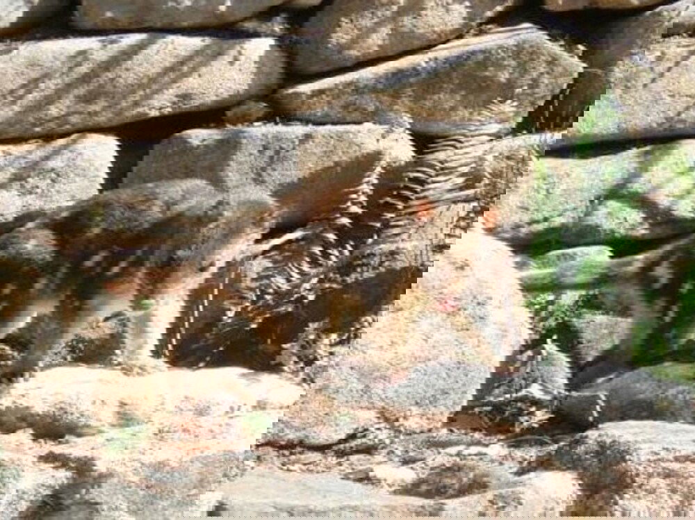  Accommodation Cooktown