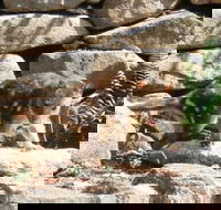 Jenolan Caves House - Accommodation Cooktown