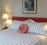 Every Man  His Dog Vineyard - Accommodation Cooktown