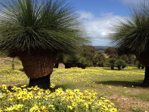 Bed + Bauhaus - Accommodation Cooktown 5