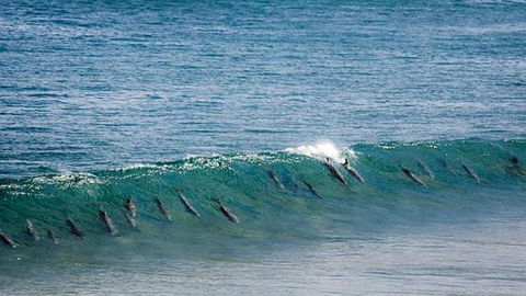 Neptune At Port Elliot - Accommodation Cooktown 2