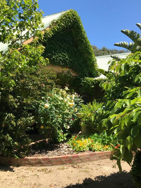 The Fingal Farm - Accommodation Cooktown 2