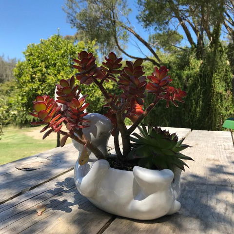 The Fingal Farm - Accommodation Cooktown 3