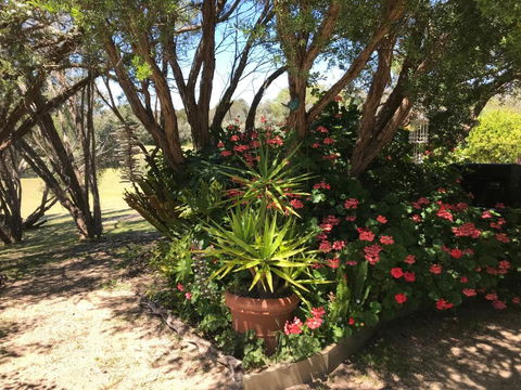 The Fingal Farm - Accommodation Cooktown 6