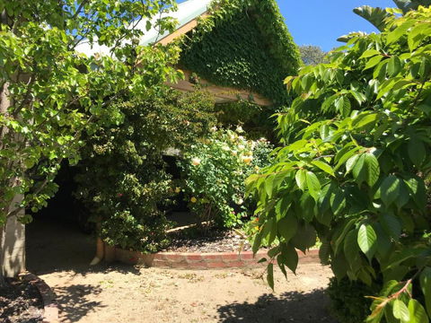 The Fingal Farm - Accommodation Cooktown 1