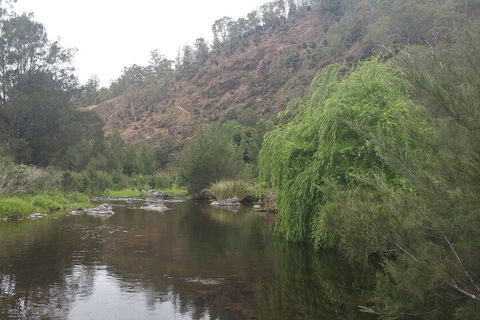 Karamea Homestead - Accommodation Cooktown 1