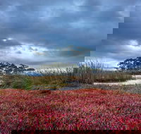 Saintys Creek Cottage - Accommodation Cooktown