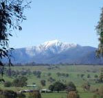 Off Mountain Accommodation - Accommodation Cooktown