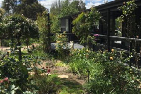 Hilltop Too - Accommodation Cooktown 6