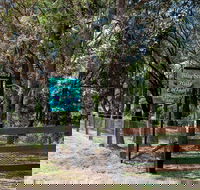 Blueberry Hills On Comleroy - Accommodation Cooktown