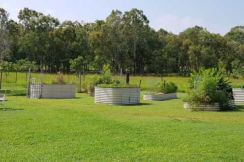 Hay Point Country B&B - Accommodation Cooktown 2