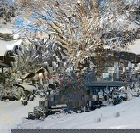 Milkwood - Accommodation Cooktown