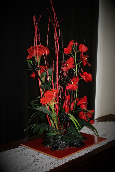 Dalby Apartments Self Contained Motel - Accommodation Cooktown 1