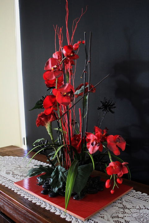 Dalby Apartments Self Contained Motel - Accommodation Cooktown 2