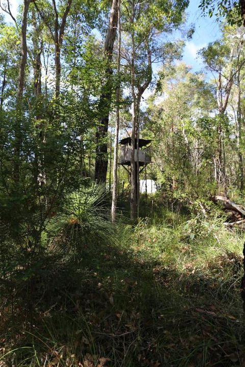 Nannup Bush Retreat - Accommodation Cooktown 2