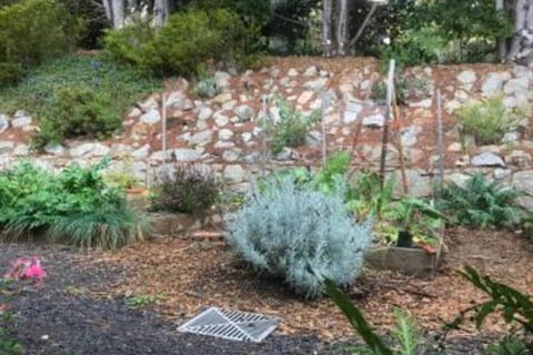 Alpine Aspects - Accommodation Cooktown 6