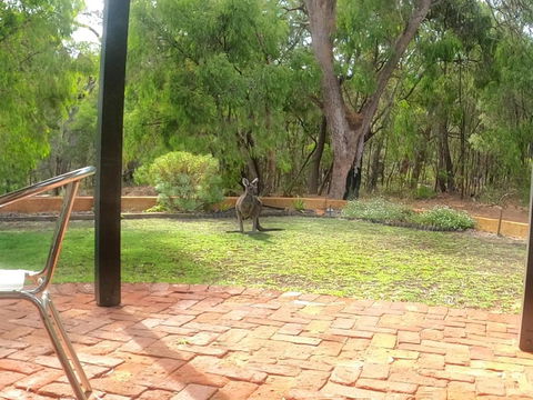 Yallingup Pet Friendly Bush Retreat - Accommodation Cooktown 5