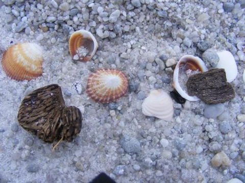 Scamander Dunes - Accommodation Cooktown 2