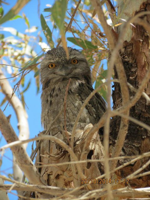 Kalbarri Tudor Holiday Park - Accommodation Cooktown 3