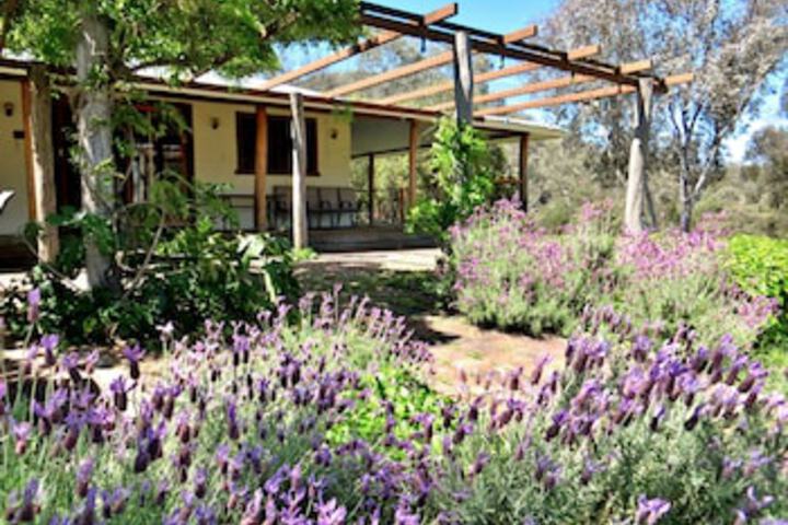 Nullo Mountain NSW Accommodation Cooktown