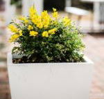 Esperance Coastal Retreat - Accommodation Cooktown