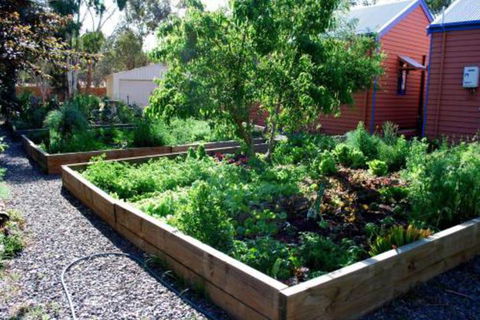 Osteria Sanso B & B - Accommodation Cooktown 1