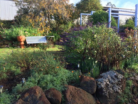 Chestnut Brae Farmstay - Accommodation Cooktown 4