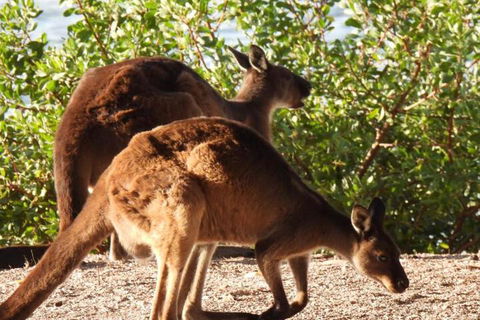 Ratcliff Cottage - Accommodation Cooktown 5
