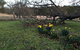 Walnut Cottage - thumb 4