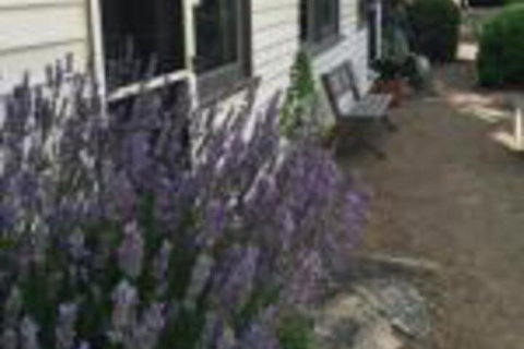 Walnut Cottage - Accommodation Cooktown 0