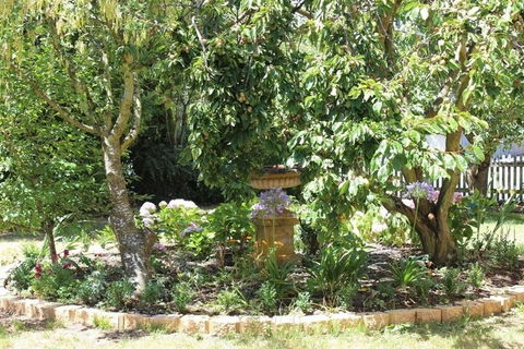 Bellamona - Accommodation Cooktown 5