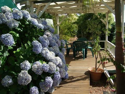 Nannup Riverview Cottage - Accommodation Cooktown 3