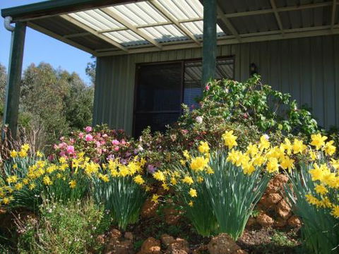 Nannup Riverview Cottage - Accommodation Cooktown 0