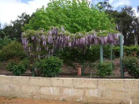 Nannup Riverview Cottage - Accommodation Cooktown 5