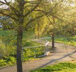 A Suite Spot in the Hills - Accommodation Cooktown