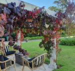 The Cottage - Accommodation Cooktown
