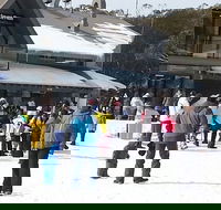 Discobulous 6 - Accommodation Cooktown