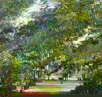 Banyan Tree Resort - Accommodation Cooktown