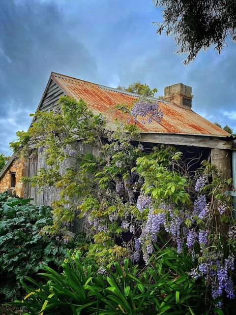 Cherry Plum Cottages - Accommodation Cooktown 1