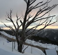 Snowflake 12 - Accommodation Cooktown