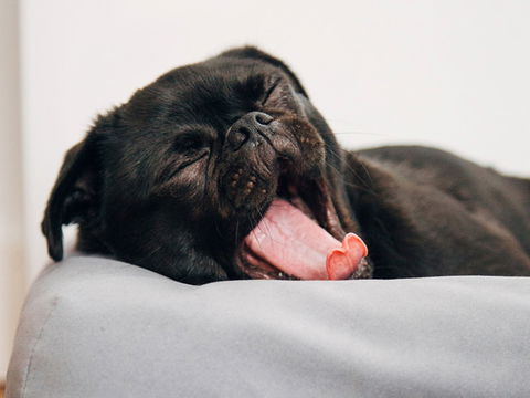 Abode Murrumbateman - Accommodation Cooktown 6