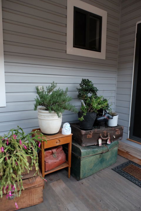 Courthouse Cottage - Accommodation Cooktown 2