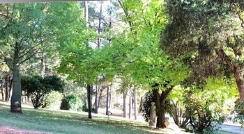 Eemnes Park Estate - Accommodation Cooktown 6